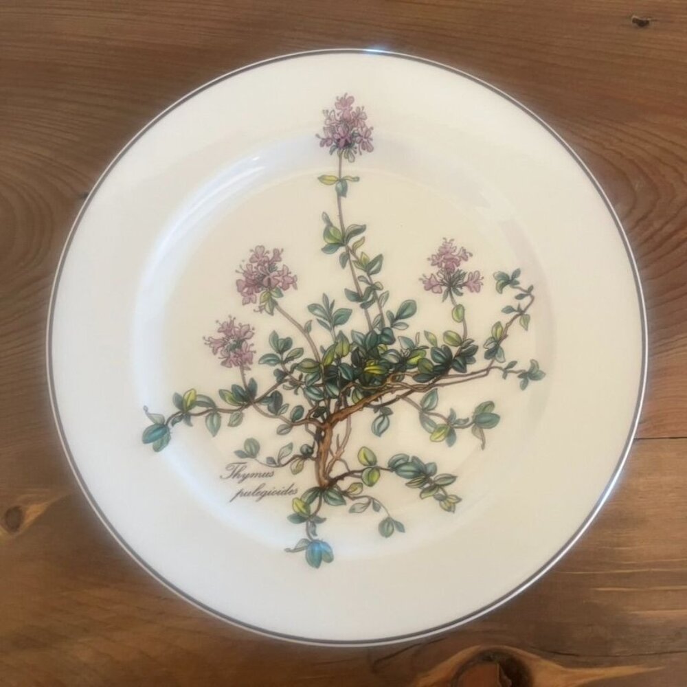 Villeroy & Boch Botanica Thymus 8" Salad Plates Set Of 2 Cottage Core